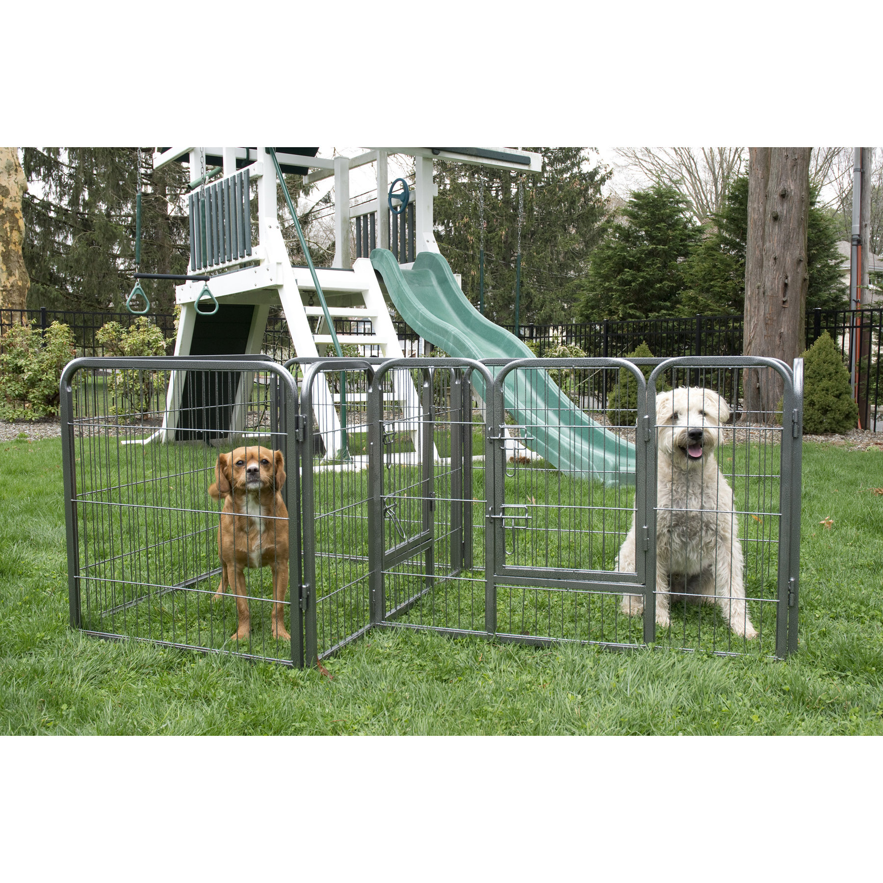 Iconic Pet 28" Heavy Duty Double Divided Tube Dog Pen & Reviews Wayfair
